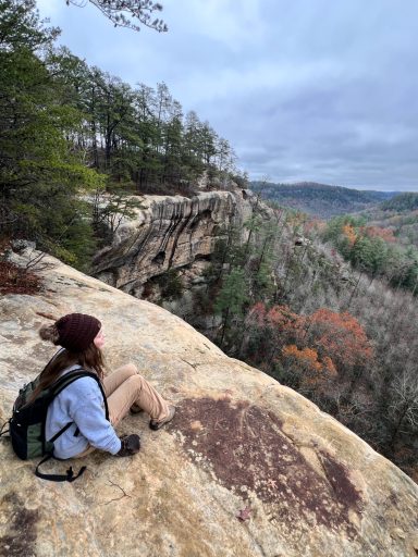 Top to Bottom in Red River Gorge